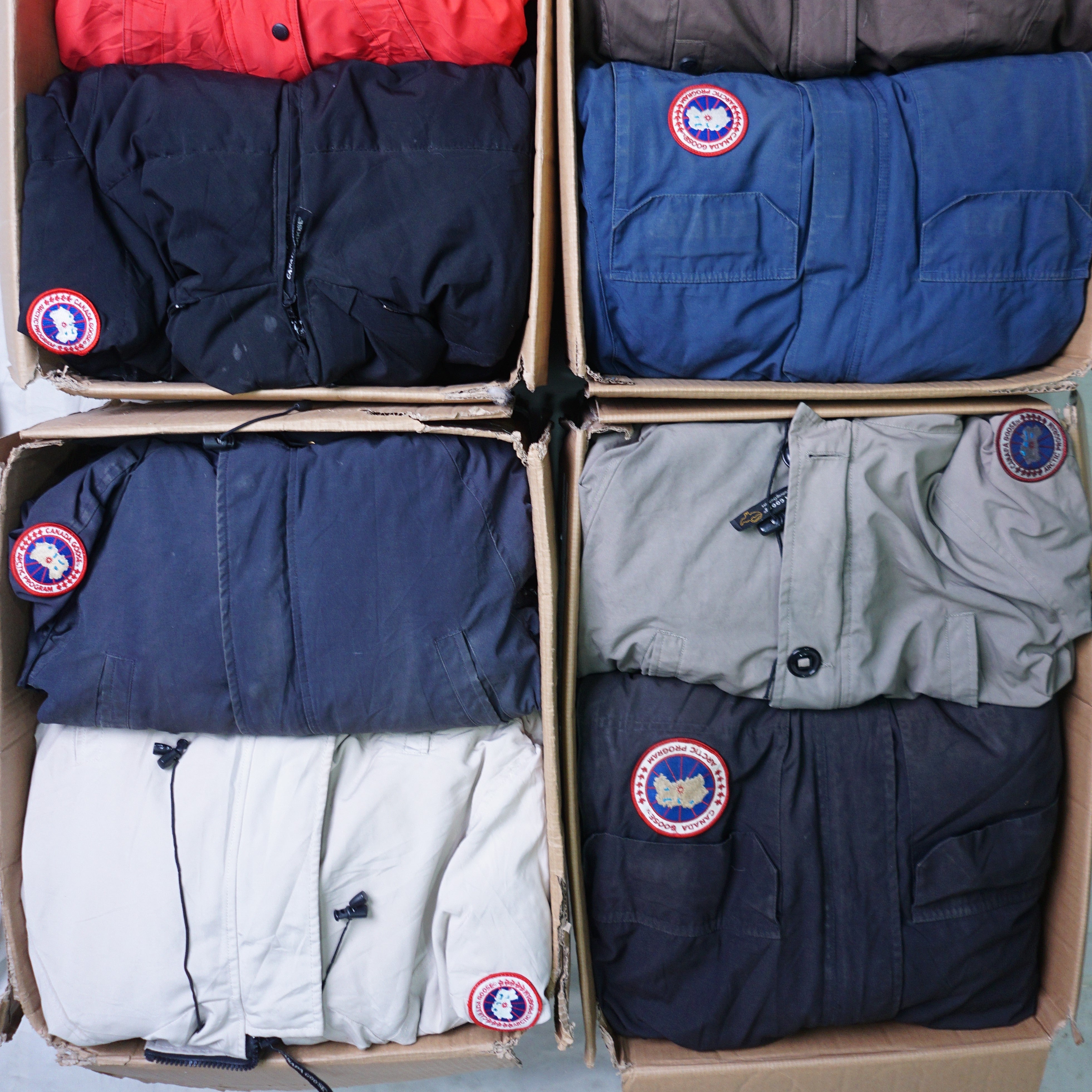 CanadaGoose.jpg