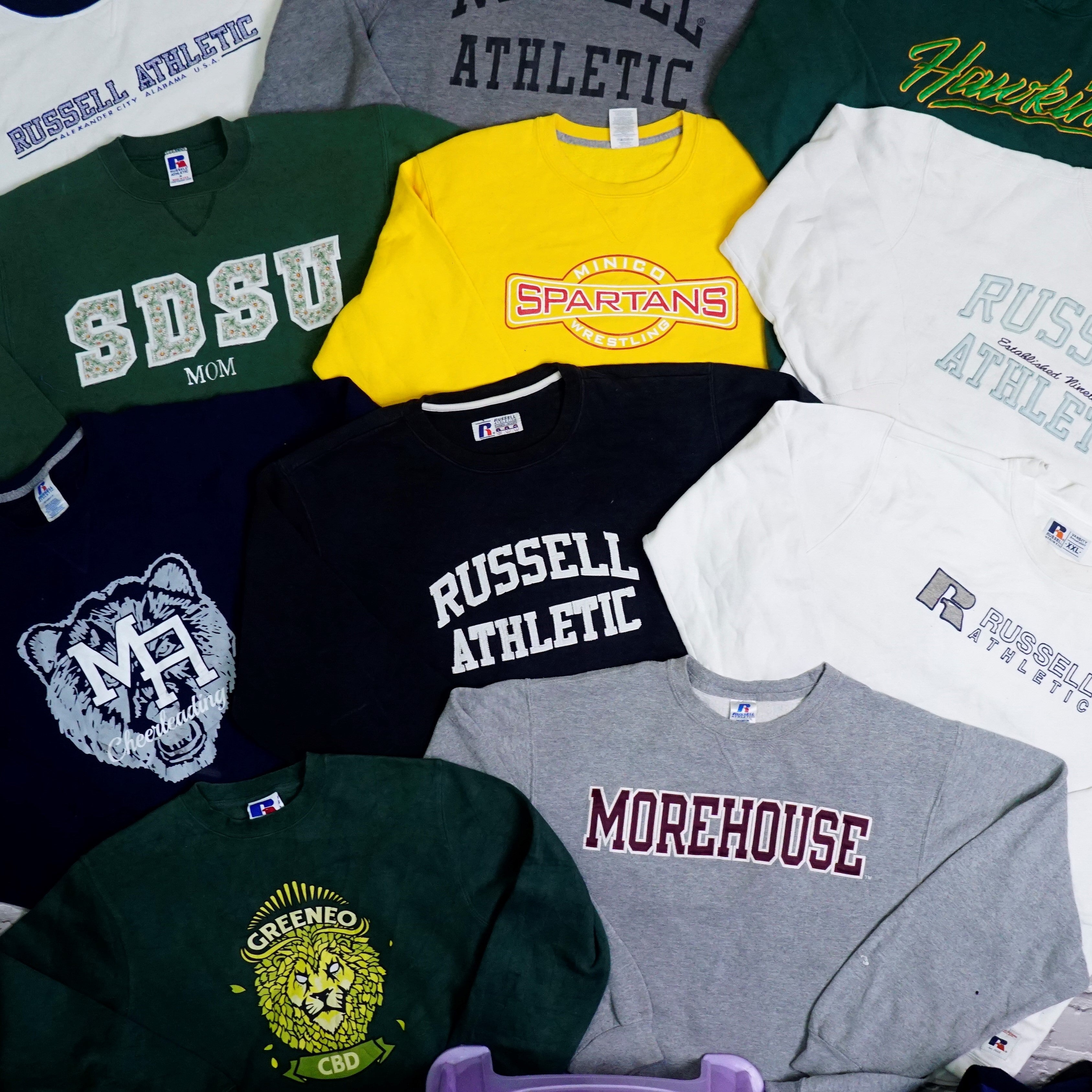 RusselEmbriodedandprintedsweatshirt.jpg