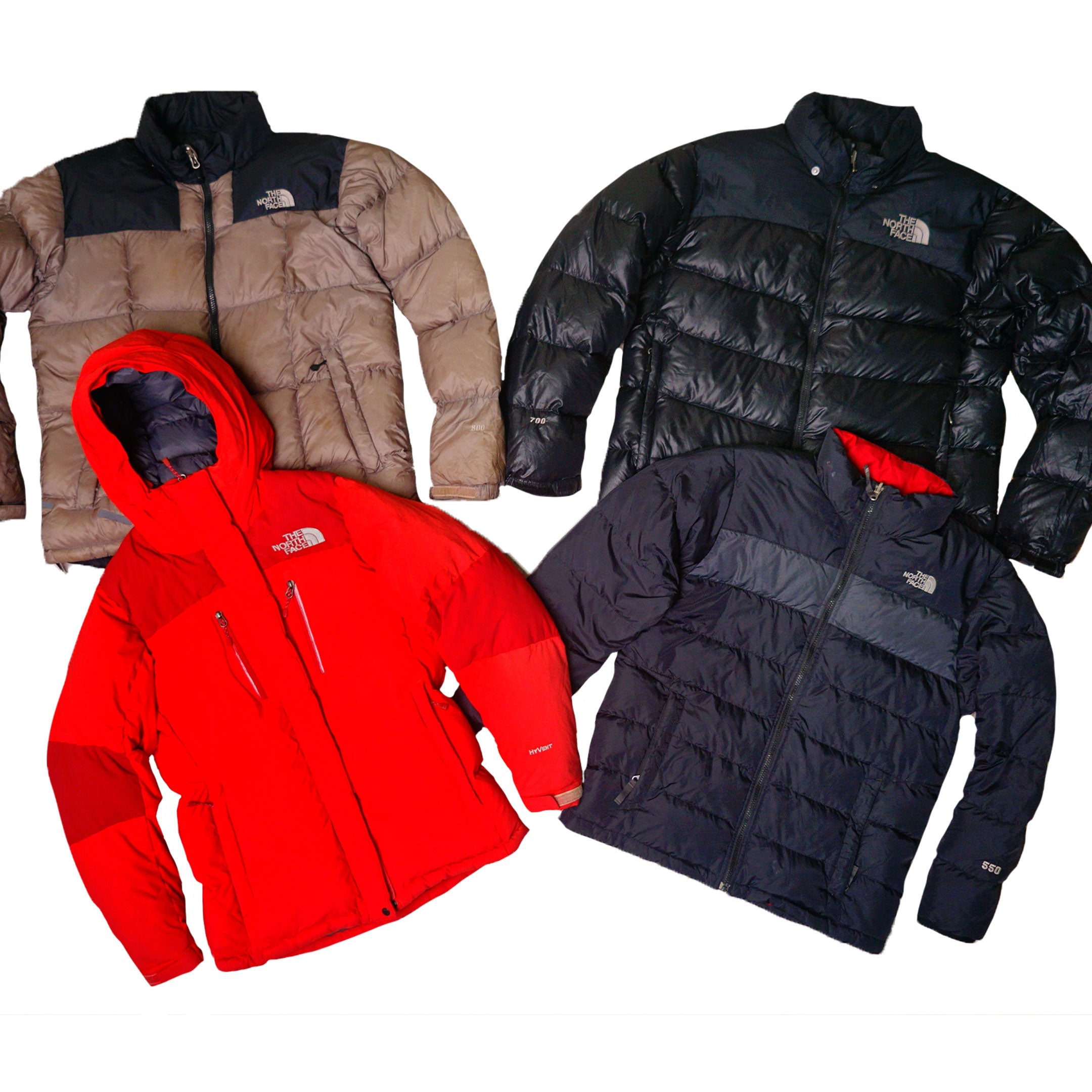 TNF-Puffer.jpg